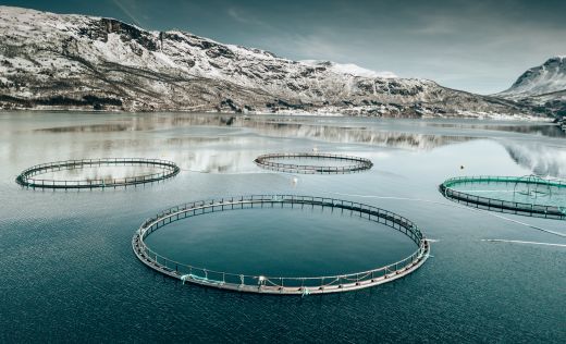 Fischzucht Norwegen