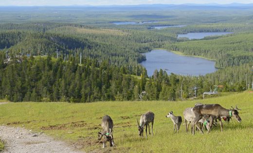 Lappland