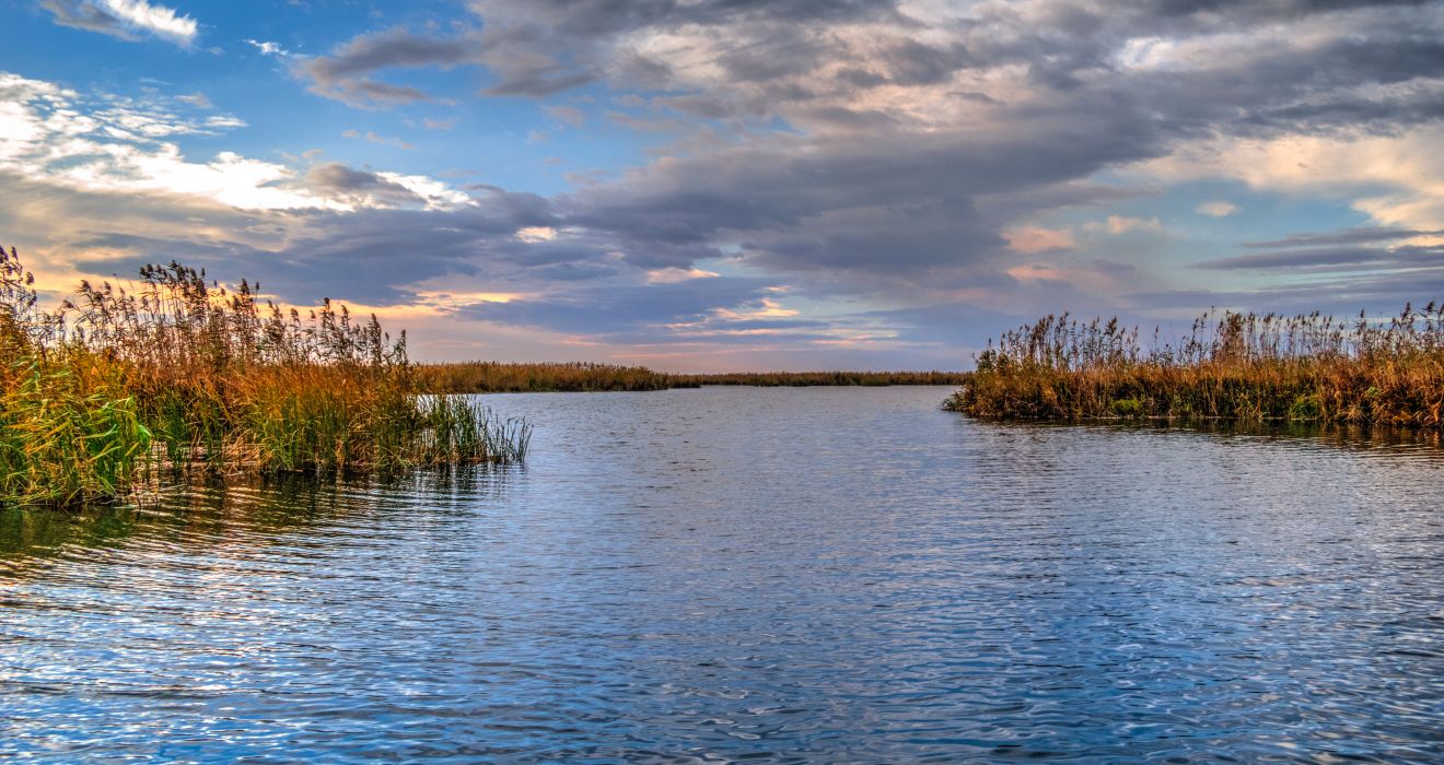 Donaudelta