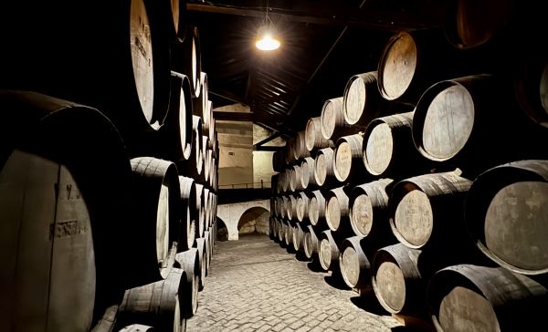 Ferreira PORTO9