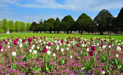 Hampton Court Palace