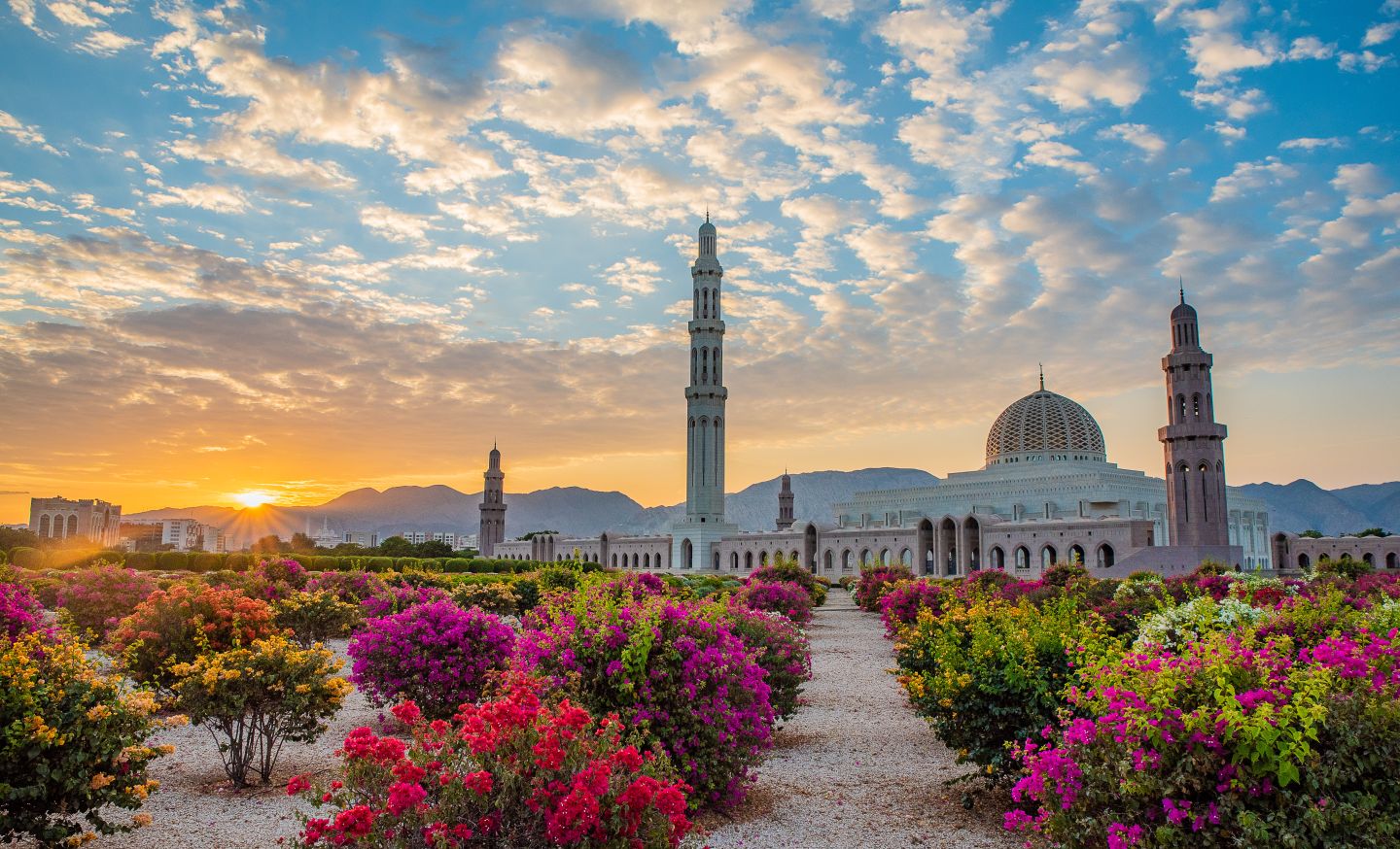 Sultan Qabus Moschee im Abendlicht imit bl&uuml;henden Str&auml;uchern im Vordergrund m Oman
