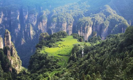 Zhangjiajie Nationalpark