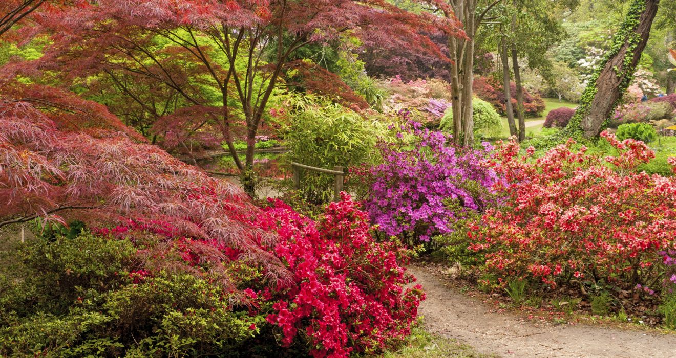 Exbury Garden