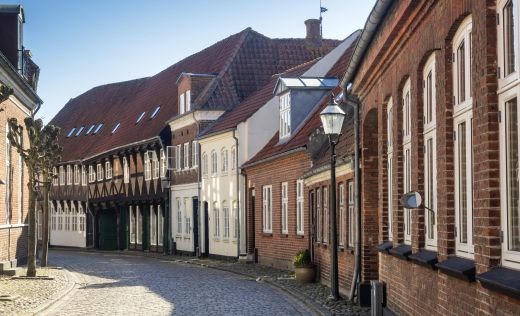 Ribe