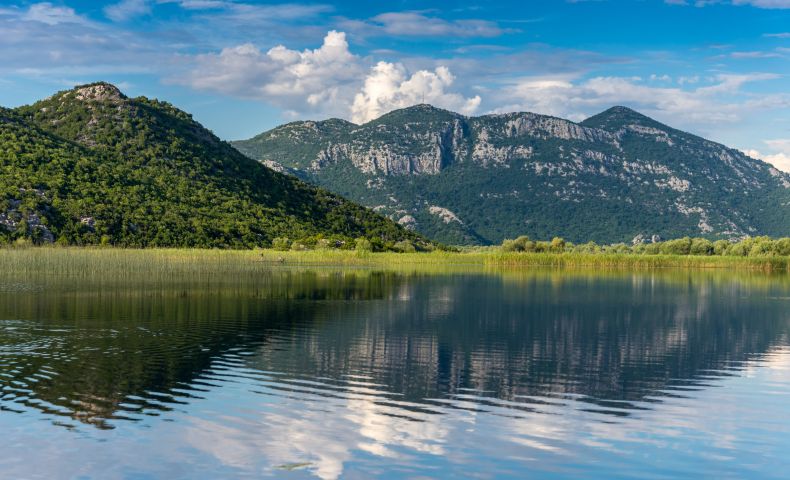 Skutarisee