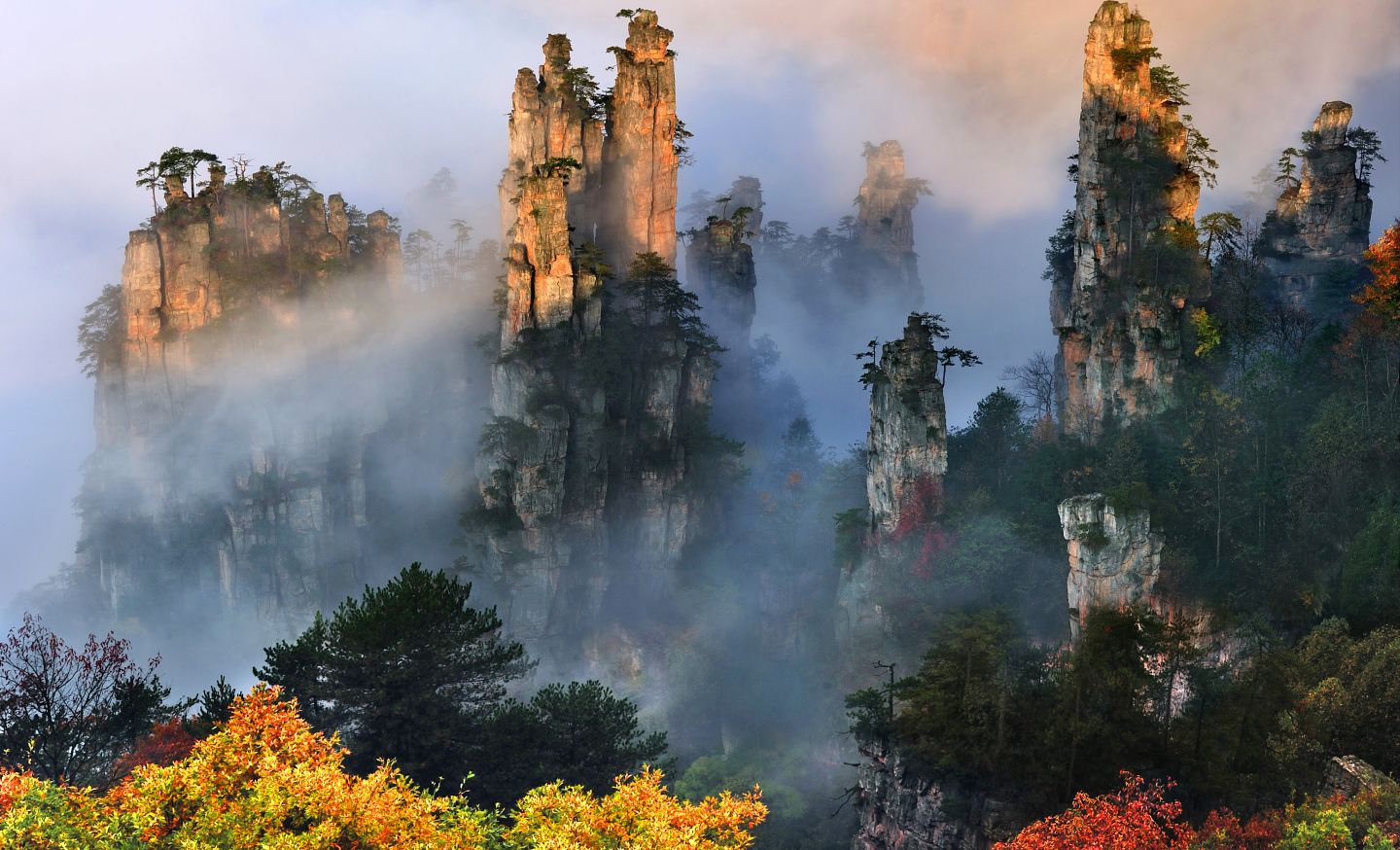 Tianzishan Felsformationen im Nebel in S&uuml;dchina