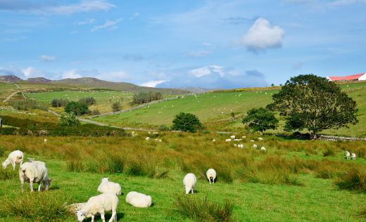 Brecon Beacons Nationalpark 3