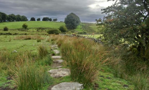 Dartmoor