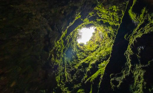 Algar do Carv&atilde;o