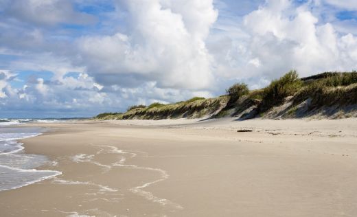 Kurische Nehrung