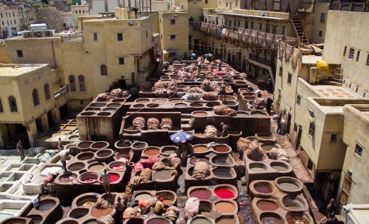F&egrave;s Gerberei