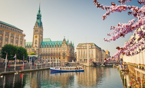 Hamburg Rathaus 650696728