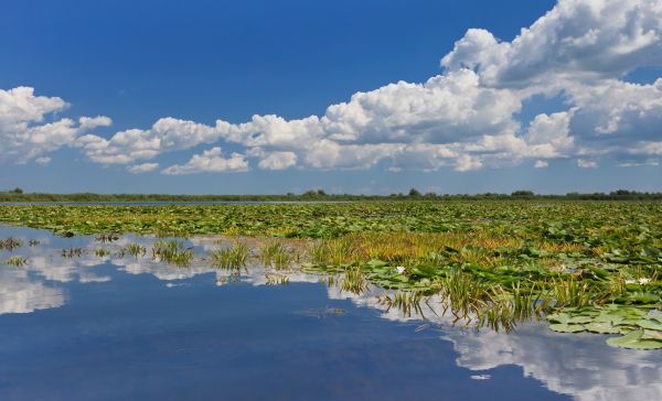 Donaudelta
