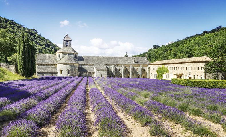 Abbey Of Senanque