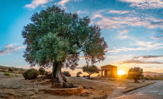 Tal der Tempel in Agrigento