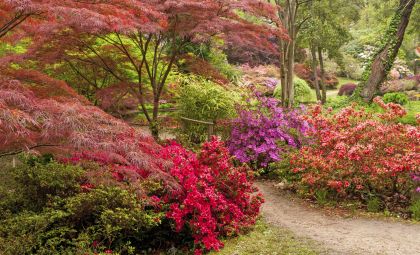 Exbury Garden