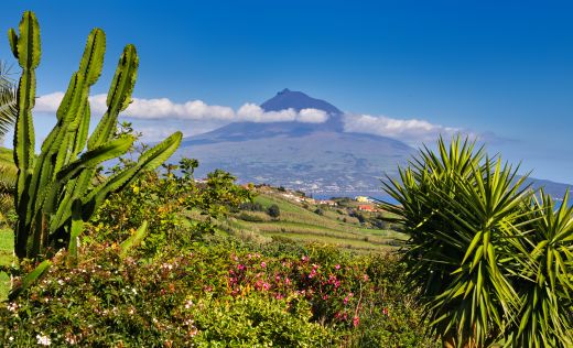 Insel Pico