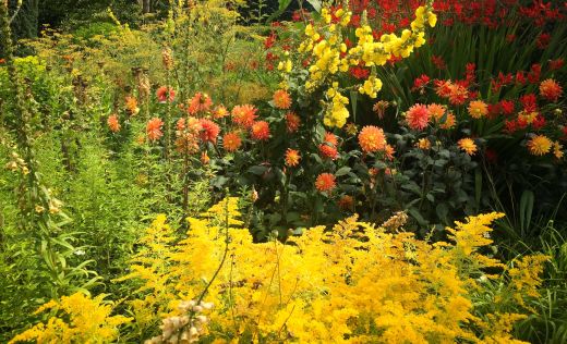 Sissinghurst Caslte Gardens
