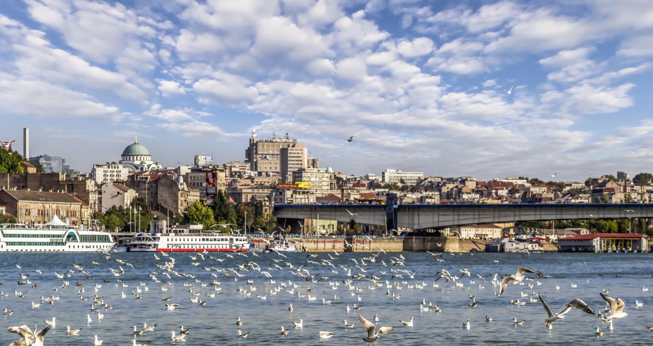 Belgrad mit Vogelschwarm auf der Donau