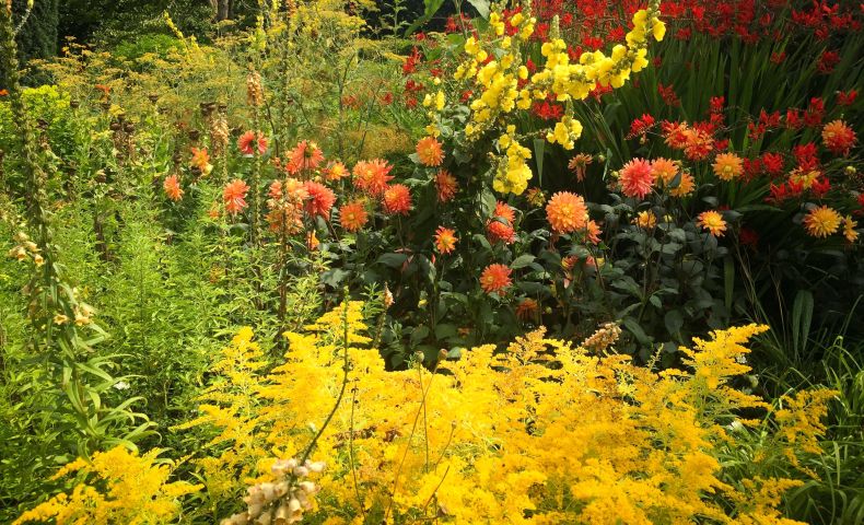 Sissinghurst Caslte Gardens